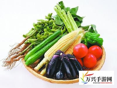 探索健康人生之道，以'好色先生丝瓜'为例，揭示蔬菜在日常饮食中的重要角色