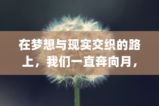 在梦想与现实交织的路上，我们一直奔向月，追逐那份对知识的渴望与光明的希望