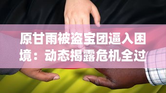 原甘雨被盗宝团逼入困境：动态揭露危机全过程与后续救援援助详情