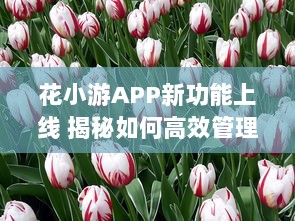 花小游APP新功能上线 揭秘如何高效管理花草，让爱花人士轻松养花。