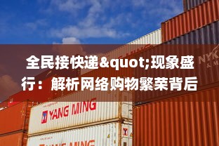 全民接快递"现象盛行：解析网络购物繁荣背后的物流体系与消费习惯的变迁