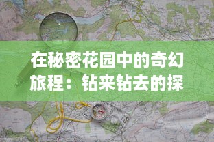 在秘密花园中的奇幻旅程：钻来钻去的探索未知世界之一趣味之旅