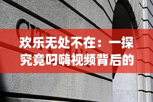 欢乐无处不在：一探究竟叼嗨视频背后的创作过程和其在网络文化中的影响力