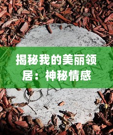 揭秘我的美丽领居：神秘情感与纷繁生活的中字故事 v0.0.5下载