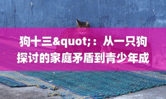 狗十三"：从一只狗探讨的家庭矛盾到青少年成长的社会现实，对中华传统文化的深度解读