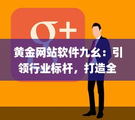 黄金网站软件九幺：引领行业标杆，打造全新的互联网软件开发与服务体验 v9.7.0下载