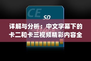 详解与分析：中文字幕下的卡二和卡三视频精彩内容全解析