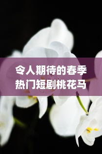 令人期待的春季热门短剧桃花马上起长缨 完整版免费在线观看，感受古风情缘的唯美故事