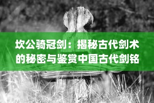 坎公骑冠剑：揭秘古代剑术的秘密与鉴赏中国古代剑铭文化的传世之作