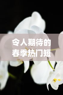 令人期待的春季热门短剧桃花马上起长缨 完整版免费在线观看，感受古风情缘的唯美故事