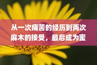 从一次痛苦的经历到两次麻木的接受，最后成为蜜蜂爬行的亲近：关于生活无常与接受挑战的思考 v1.1.2下载