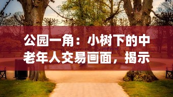 公园一角：小树下的中老年人交易画面，揭示城市生活中不为人知的一面图片集展示