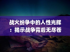 战火纷争中的人性光辉：揭示战争背后无尽苍凉与温暖并存的生命力量