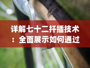 详解七十二扦插技术：全面展示如何通过视频教学高效稼动春季果树扦插繁殖 v4.8.5下载