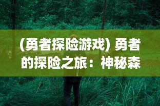 (勇者探险游戏) 勇者的探险之旅：神秘森林中的精灵奇遇与邪恶暗黑力量的对决