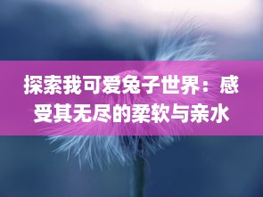 探索我可爱兔子世界：感受其无尽的柔软与亲水特性，以及其生活背后的无穷PO图乐趣