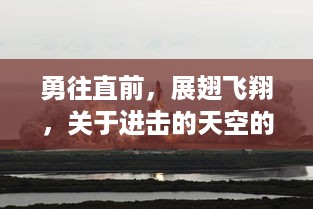 勇往直前，展翅飞翔，关于进击的天空的无限可能与挑战的探索与实践