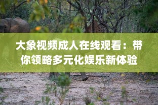 大象视频成人在线观看：带你领略多元化娱乐新体验，探索丰富多彩的成人教育视界