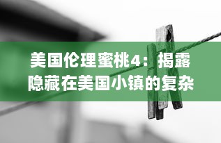 美国伦理蜜桃4：揭露隐藏在美国小镇的复杂人性和激烈情感的深度剖析 v7.7.6下载