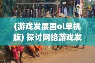 (游戏发展国ol单机版) 探讨网络游戏发展国OL 对提高玩家国家治理能力影响的深度研究