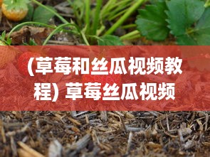 (草莓和丝瓜视频教程) 草莓丝瓜视频：全面解析草莓丝瓜的种植技术与实用养护知识