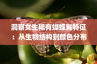 洞察女生稀有蝴蝶髯特征：从生物结构到颜色分布的详细解析 v2.3.2下载