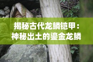 揭秘古代龙鳞铠甲：神秘出土的鎏金龙鳞，它背后藏着哪些秘密和故事?