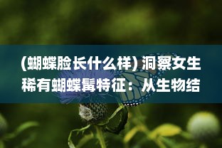 (蝴蝶脸长什么样) 洞察女生稀有蝴蝶髯特征：从生物结构到颜色分布的详细解析