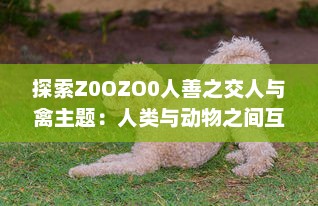 探索Z0OZO0人善之交人与禽主题：人类与动物之间互动的深度立体观察