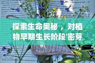 探索生命奥秘 ，对植物早期生长阶段'密芽'的深入研究与实验 v3.5.4下载