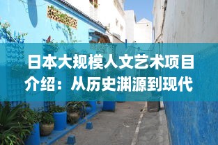 日本大规模人文艺术项目介绍：从历史渊源到现代实践，探索日本艺术文化的深度与广度 v7.3.3下载