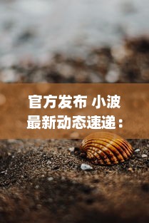 官方发布 小波最新动态速递：探索全新视界，引领科技创新之潮 ，了解详情