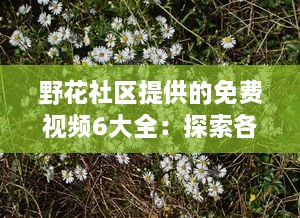 野花社区提供的免费视频6大全：探索各领域精彩内容，满足各类型观看需求 v9.0.5下载