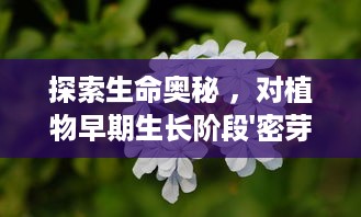 探索生命奥秘 ，对植物早期生长阶段'密芽'的深入研究与实验 v5.8.5下载