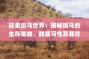 探索斑马世界：揭秘斑马的生存策略、群居习性及其在生态环境中的重要作用