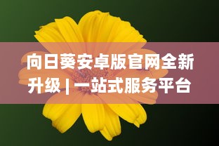 向日葵安卓版官网全新升级 | 一站式服务平台 | 官方直达下载，安全放心