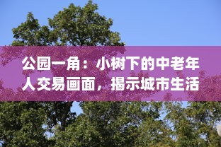 公园一角：小树下的中老年人交易画面，揭示城市生活中不为人知的一面图片集展示 v3.7.2下载