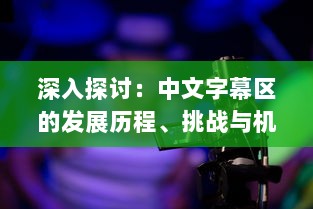 深入探讨：中文字幕区的发展历程、挑战与机遇以及对全球影视产业的影响