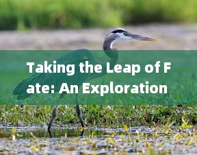 Taking the Leap of Fate: An Exploration into the Journey of Risk-taking and Self-discovery