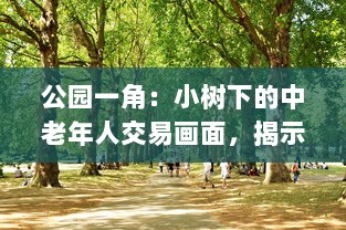 公园一角：小树下的中老年人交易画面，揭示城市生活中不为人知的一面图片集展示