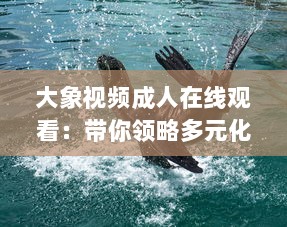 大象视频成人在线观看：带你领略多元化娱乐新体验，探索丰富多彩的成人教育视界 v8.0.3下载