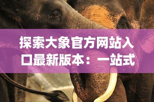 探索大象官方网站入口最新版本：一站式解锁全新功能与体验 v7.2.9下载