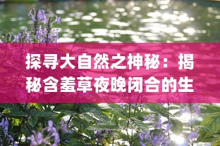 探寻大自然之神秘：揭秘含羞草夜晚闭合的生态适应学奥秘 v1.7.4下载