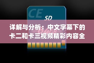 详解与分析：中文字幕下的卡二和卡三视频精彩内容全解析 v7.3.2下载