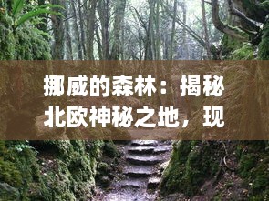 挪威的森林：揭秘北欧神秘之地，现场直击视频令人惊叹的一段片段