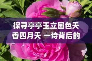 探寻亭亭玉立国色天香四月天 一诗背后的灵魂作者是谁：深入豪情诗词之中的创作奥秘