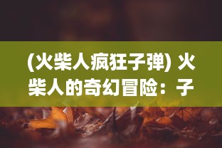 (火柴人疯狂子弹) 火柴人的奇幻冒险：子弹先生与隐藏在每一个角落的神秘危机