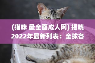 (猫咪 最全面成人网) 揭晓2022年最新列表：全球各地区最受欢迎的成人猫咪网名一览