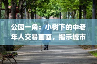 公园一角：小树下的中老年人交易画面，揭示城市生活中不为人知的一面图片集展示 v4.9.8下载