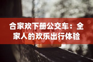 合家欢下册公交车：全家人的欢乐出行体验与感人亲情故事的深度解读